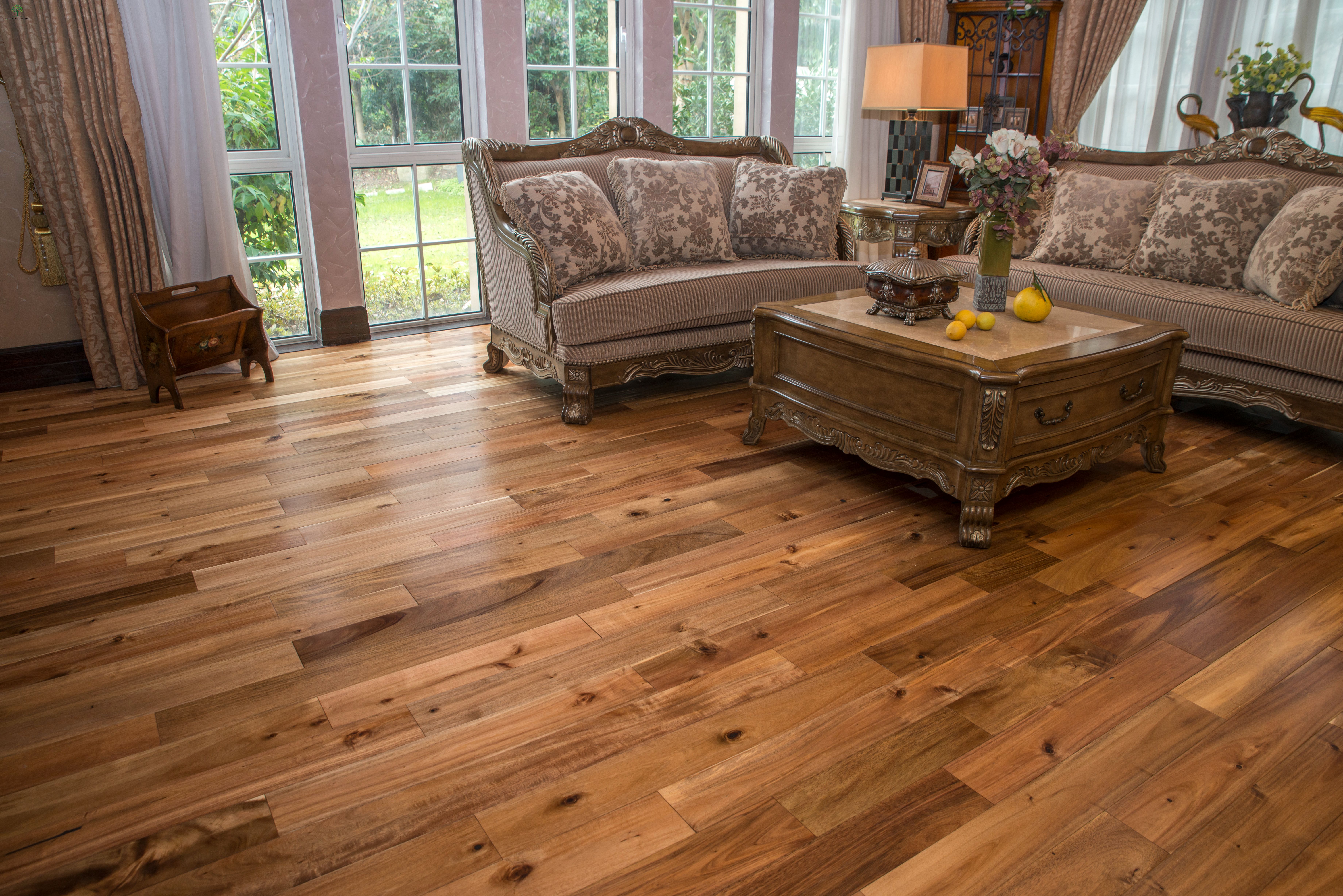 _DSC0370大叶相思本色-1